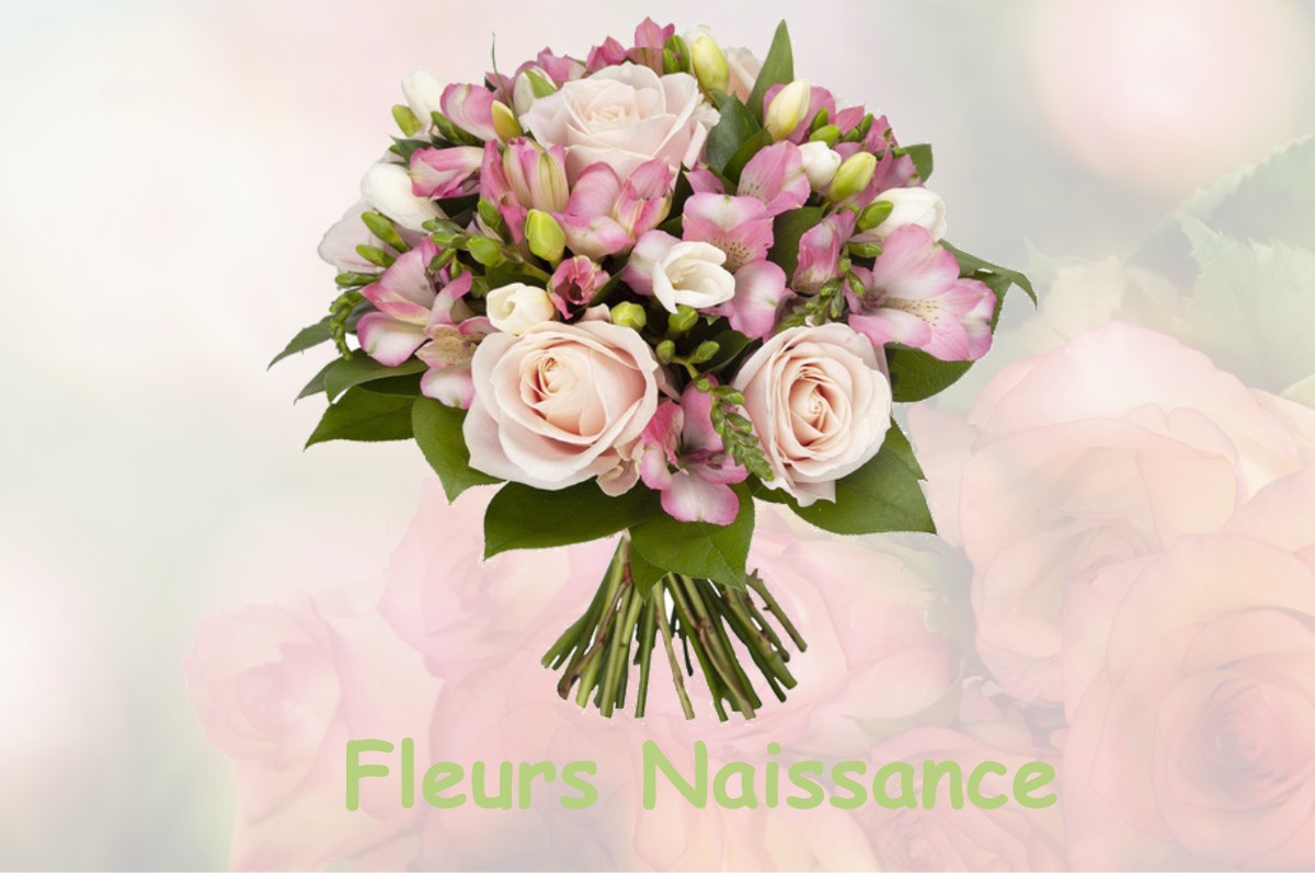 fleurs naissance LE-BOULLAY-MIVOYE