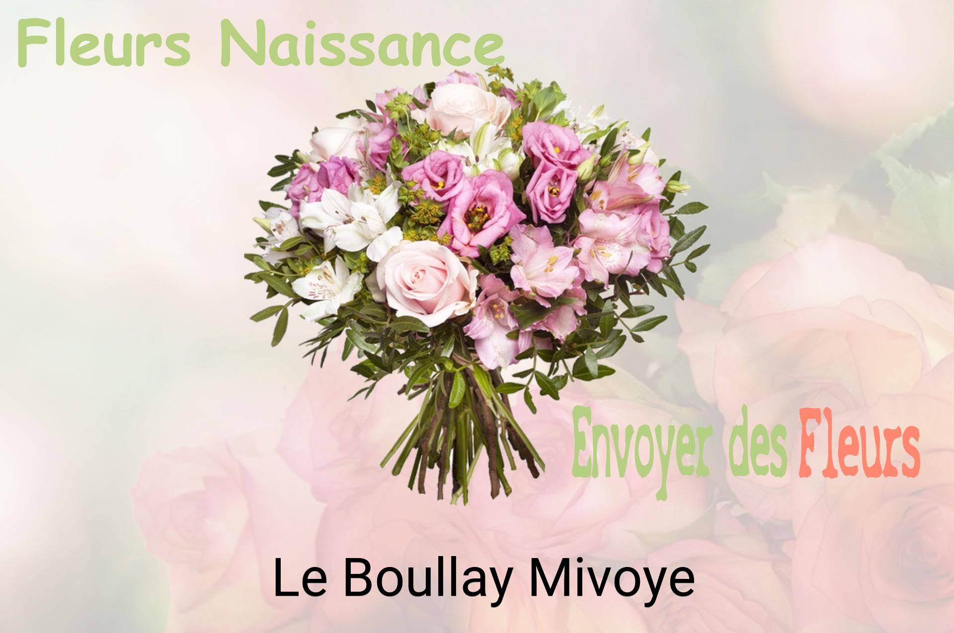 Bouquet de fleurs de naissance livré à Le Boullay-Mivoye